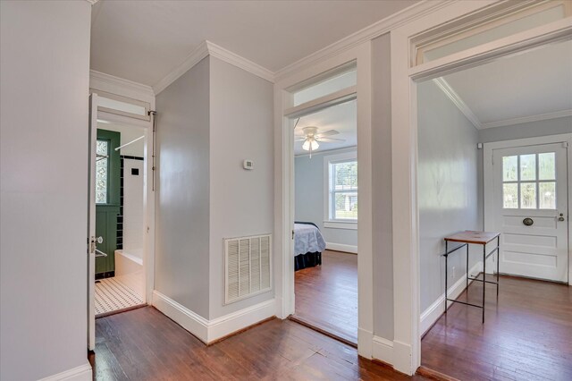 511 E Ave, North Augusta, SC 29841 - photo 23