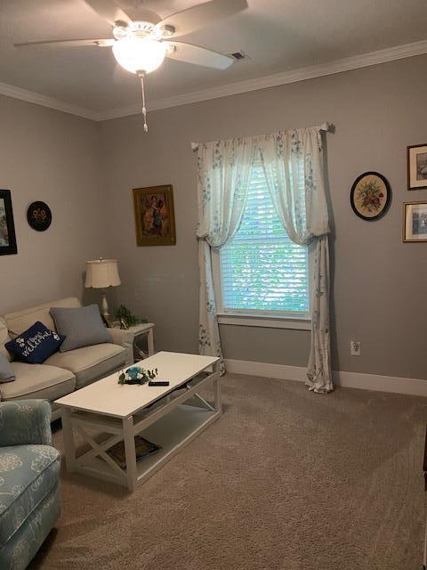 256 Candlewick Loop, Mccormick, SC 29835 - living room featuring carpet, ornamental molding, and a ceiling fan