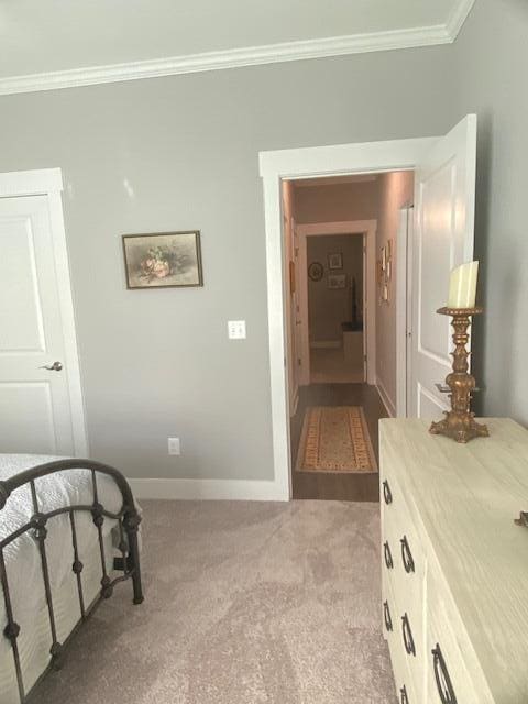 256 Candlewick Loop, Mccormick, SC 29835 - bedroom with crown molding and carpet