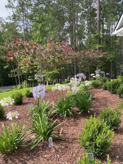 256 Candlewick Loop, Mccormick, SC 29835 - view of yard