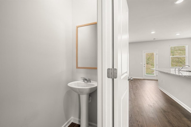 bathroom with wood-type flooring and sink