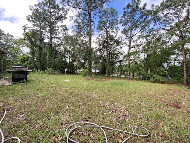 3415 Cauthen Dr, Augusta, GA 30906 - view of yard