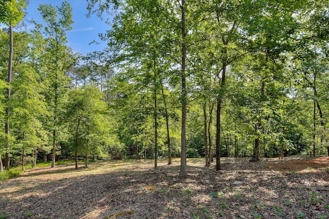 206 Mallard Ln, Mccormick, SC 29835 - photo 57