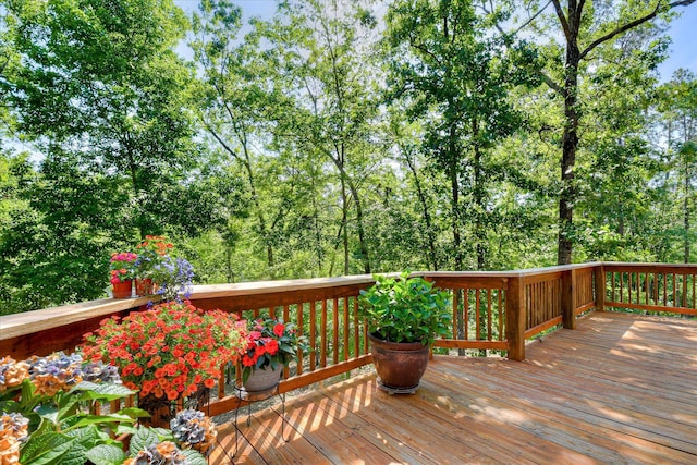 206 Mallard Ln, Mccormick, SC 29835 - photo 51