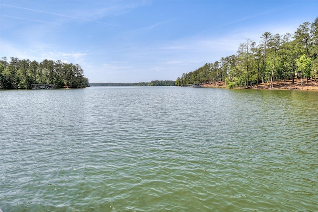 206 Mallard Ln, Mccormick, SC 29835 - photo 69