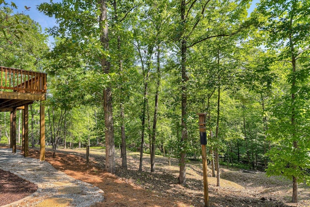 206 Mallard Ln, Mccormick, SC 29835 - photo 58