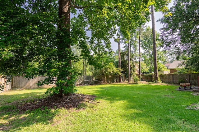 4387 Quail Creek Rd, Martinez, GA 30907 - view of yard