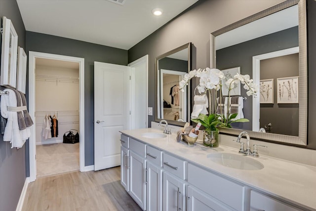 bathroom with hardwood / wood-style flooring and vanity