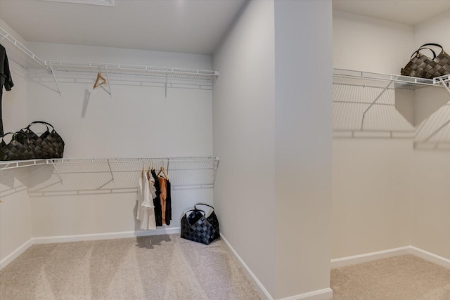 walk in closet featuring carpet