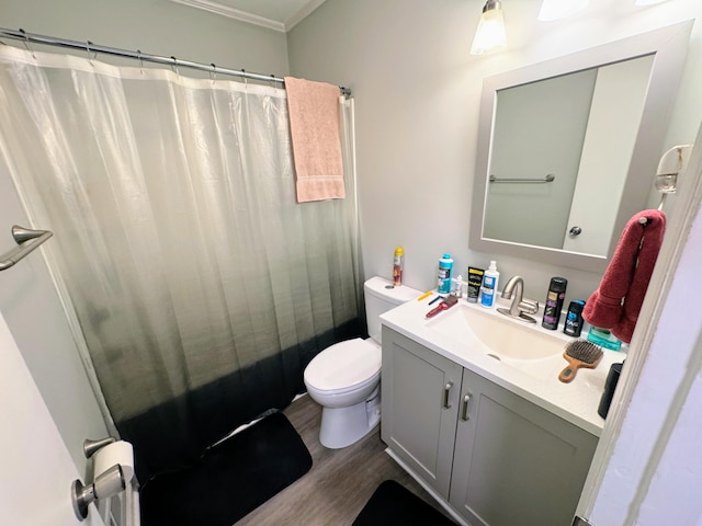 bathroom featuring vanity, wood finished floors, toilet, and a shower with curtain