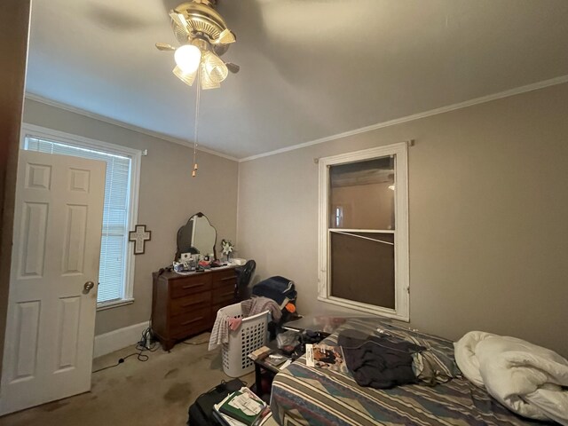 bedroom with carpet flooring, ceiling fan, and crown molding