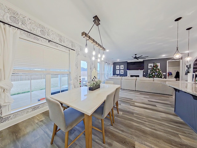 dining area with hardwood / wood-style floors, ceiling fan, and crown molding