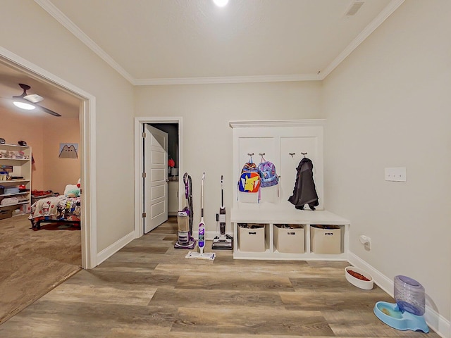 mudroom featuring crown molding and hardwood / wood-style flooring