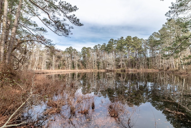 view of nature featuring a water view