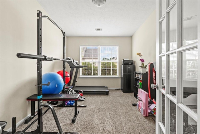 752 Keyes Dr, Grovetown, GA 30813 - workout area featuring carpet floors, a textured ceiling, french doors, and baseboards