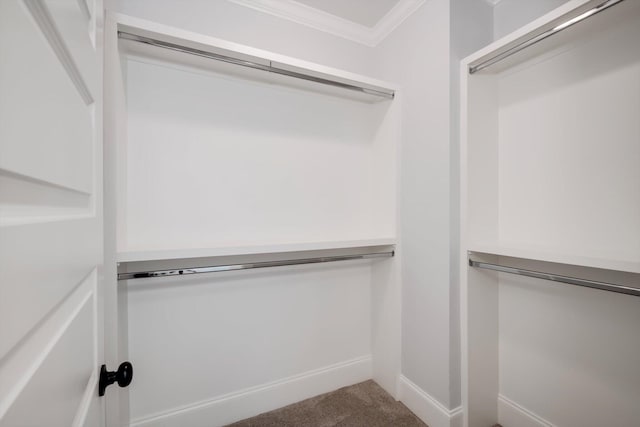 spacious closet featuring carpet