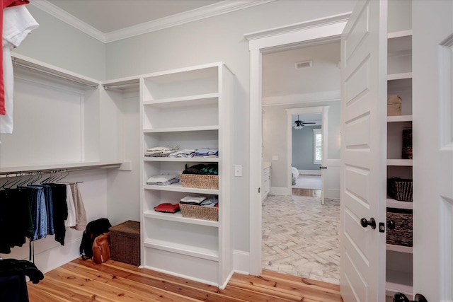 spacious closet with visible vents, a ceiling fan, and wood finished floors