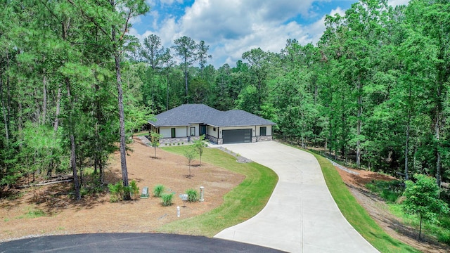 217 Cove Point Ln, Mccormick, SC 29835 - view of front of home with a garage, driveway, stone siding, and a forest view