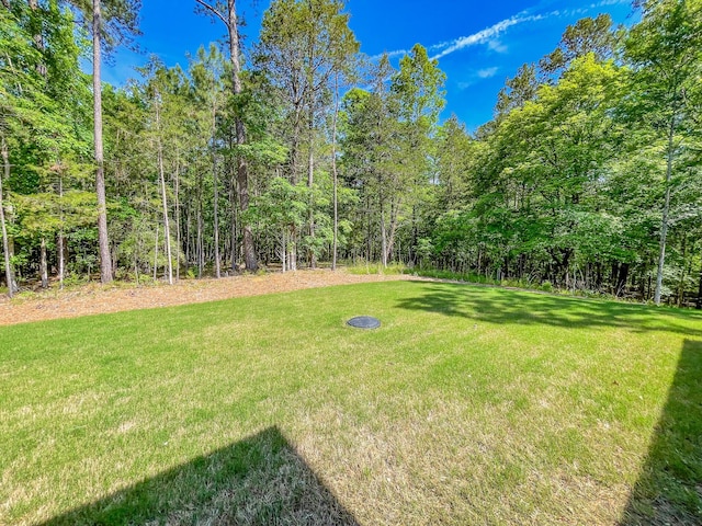 217 Cove Point Ln, Mccormick, SC 29835 - view of green lawn with a view of trees