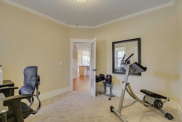 carpeted home office with crown molding