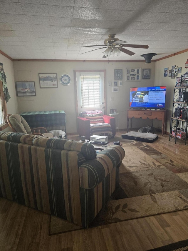3706 Cooter Creek Rd, Elberton, GA 30635 - living room featuring wood finished floors, ceiling fan, and ornamental molding