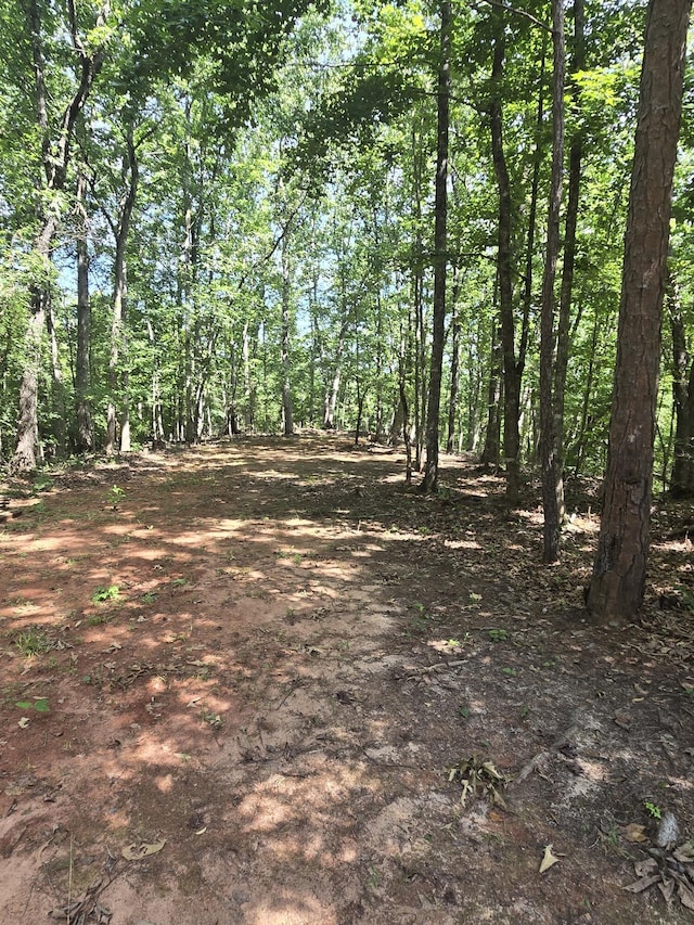 3706 Cooter Creek Rd, Elberton, GA 30635 - view of undeveloped land