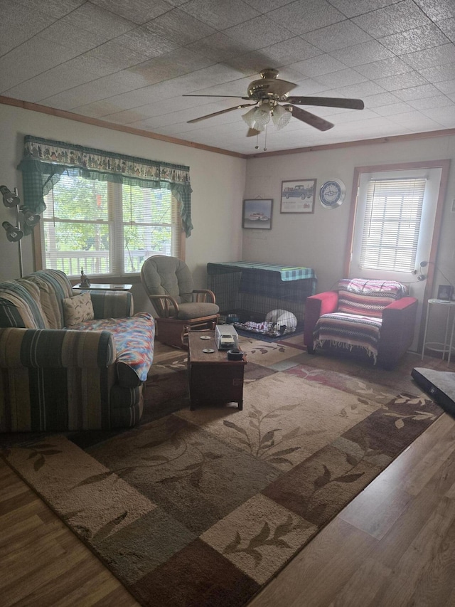 3706 Cooter Creek Rd, Elberton, GA 30635 - living room with a ceiling fan, wood finished floors, and ornamental molding