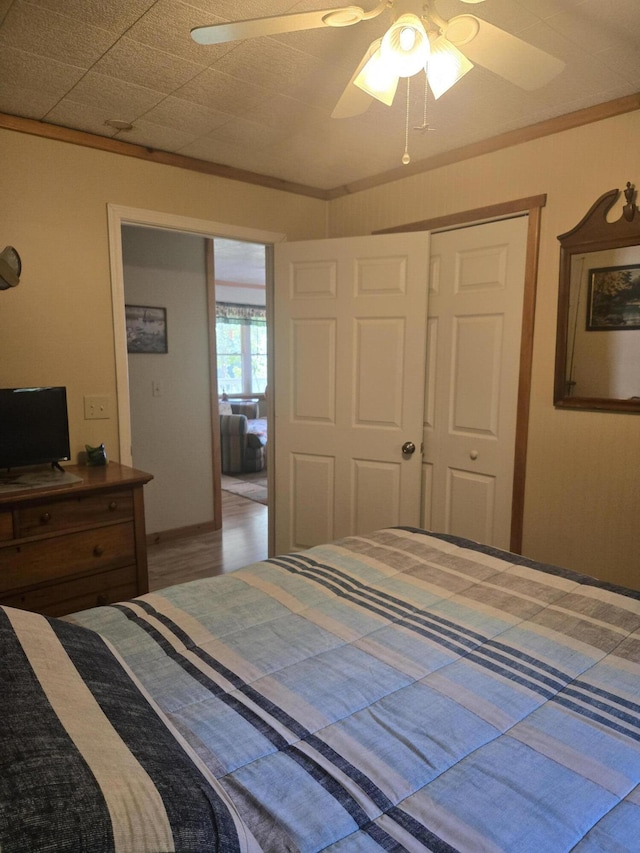 3706 Cooter Creek Rd, Elberton, GA 30635 - bedroom with ceiling fan and crown molding
