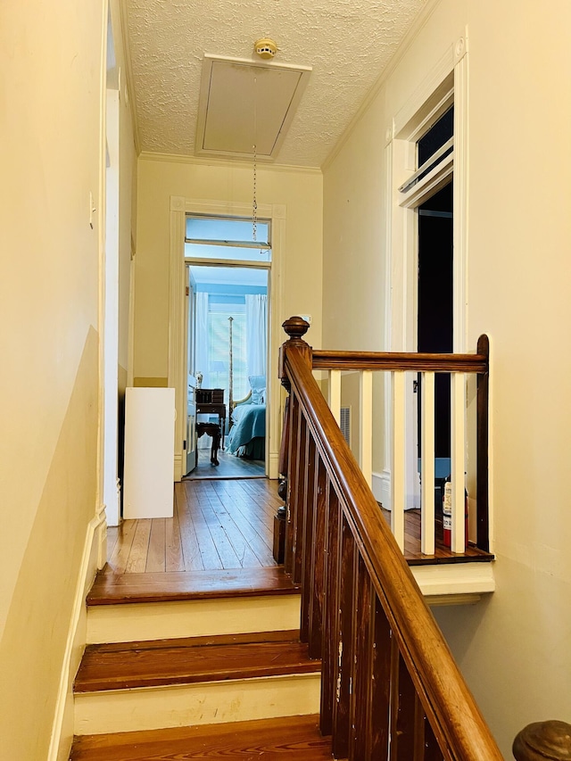 202 Water St, Washington, GA 30673 - photo 14