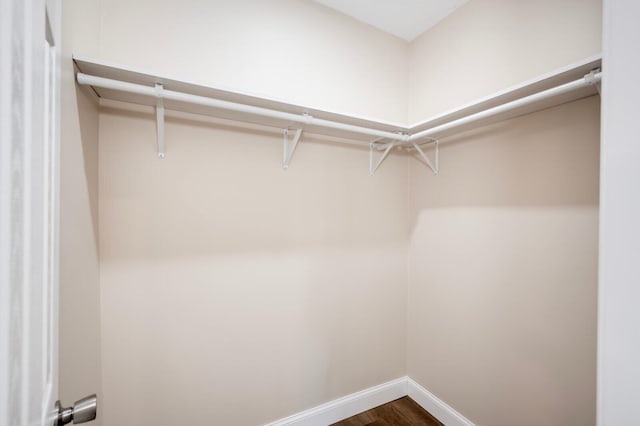 walk in closet featuring hardwood / wood-style floors