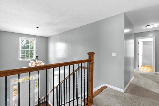 1218 Absolon Ct, Grovetown, GA 30813 - photo 25