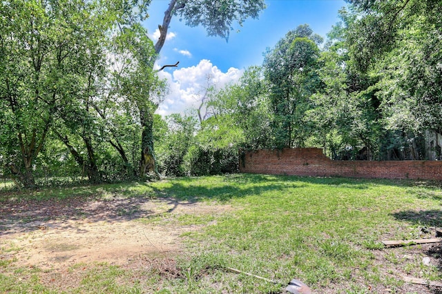 1107 Heard Ave, Augusta, GA 30904 - view of yard