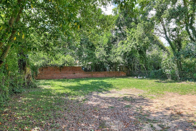1107 Heard Ave, Augusta, GA 30904 - view of yard