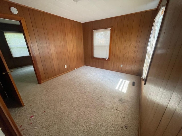 spare room featuring a wealth of natural light, wooden walls, and carpet floors