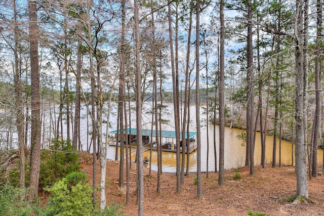 view of water feature featuring a boat dock