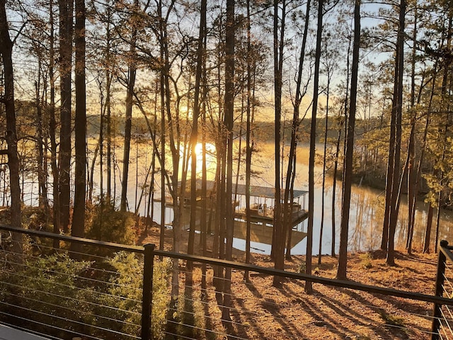 907 Patriots Pt, Mccormick, SC 29835 - water view with fence