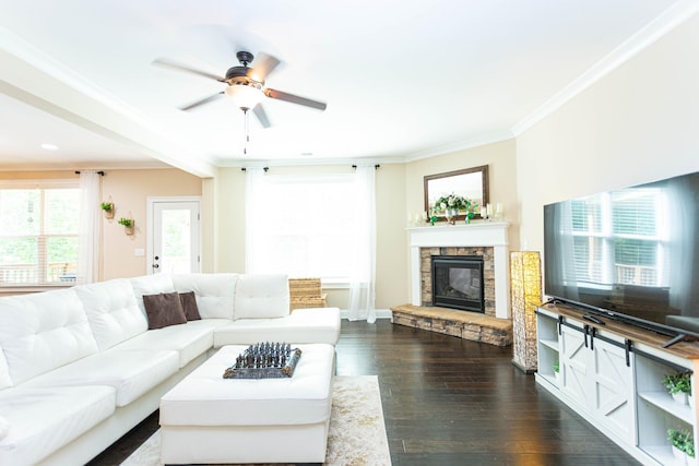 living room featuring dark wood-style floors, ornamental molding, ceiling fan, and a fireplace