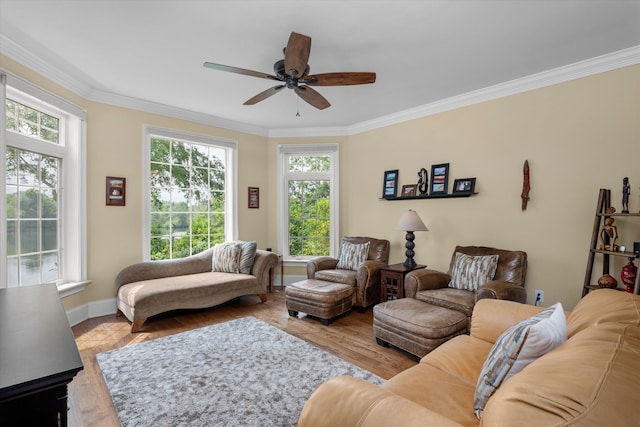 197 River Bend Dr, Clarks Hill, SC 29821 - living area featuring plenty of natural light, ceiling fan, crown molding, baseboards, and wood finished floors