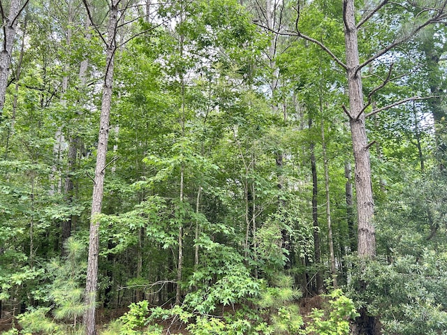 L9B18 Grandview Dr, Mccormick, SC 29835 - photo 6