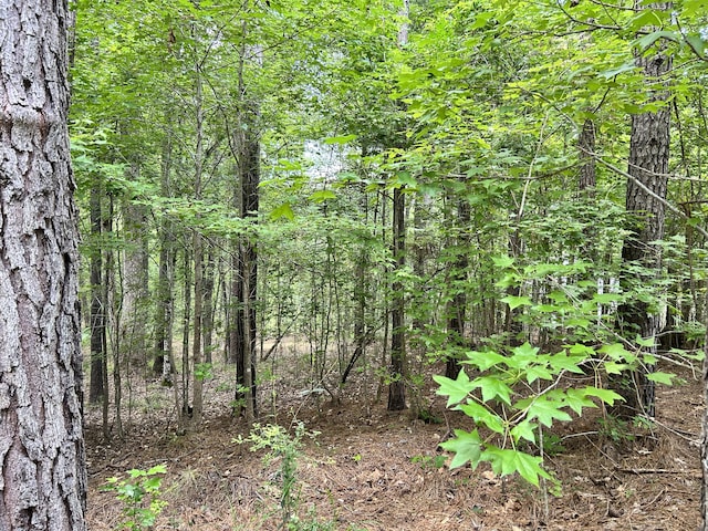 L9B18 Grandview Dr, Mccormick, SC 29835 - photo 3