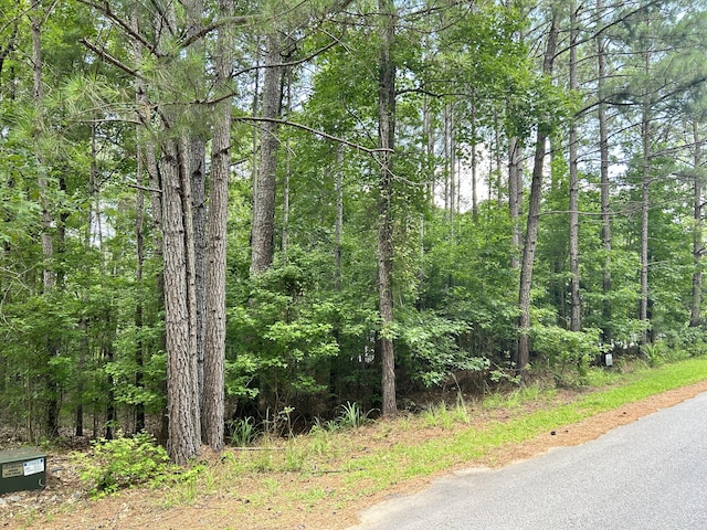 L9B18 Grandview Dr, Mccormick, SC 29835 - photo 7