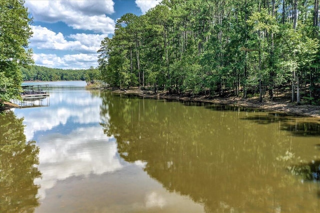 L9B18 Grandview Dr, Mccormick, SC 29835 - photo 21