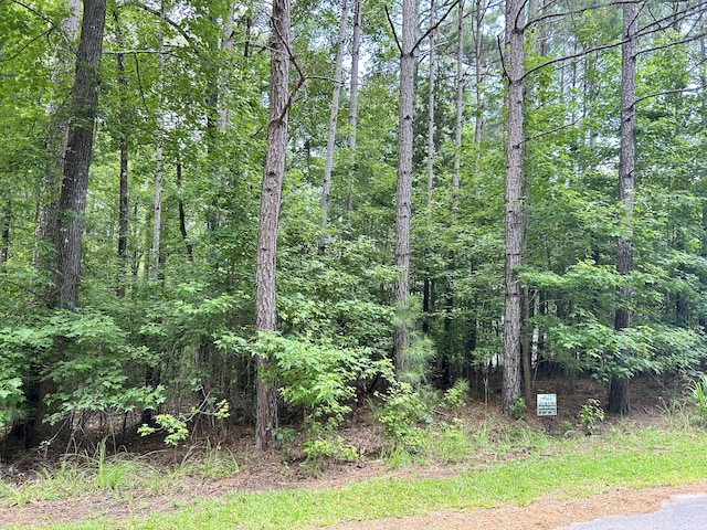 L9B18 Grandview Dr, Mccormick, SC 29835 - photo 4