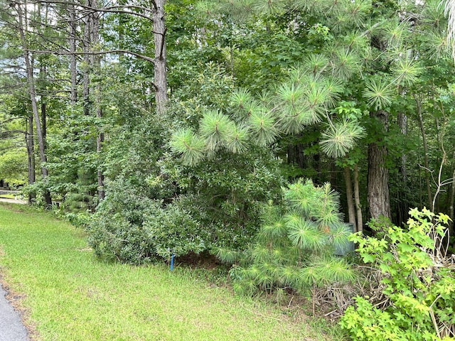 L9B18 Grandview Dr, Mccormick, SC 29835 - photo 5
