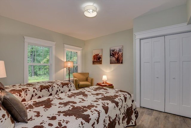 bedroom featuring light hardwood / wood-style floors and a closet