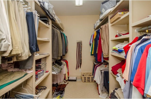 spacious closet with light colored carpet