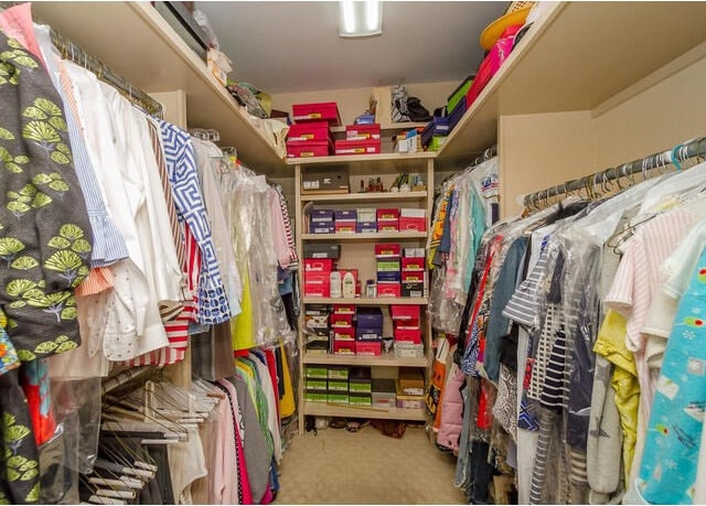 walk in closet featuring carpet flooring