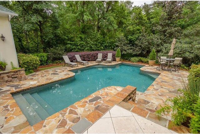 view of pool featuring a patio area