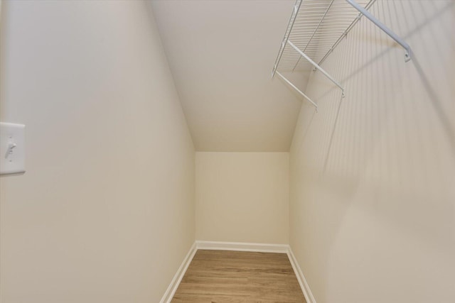 spacious closet featuring wood-type flooring