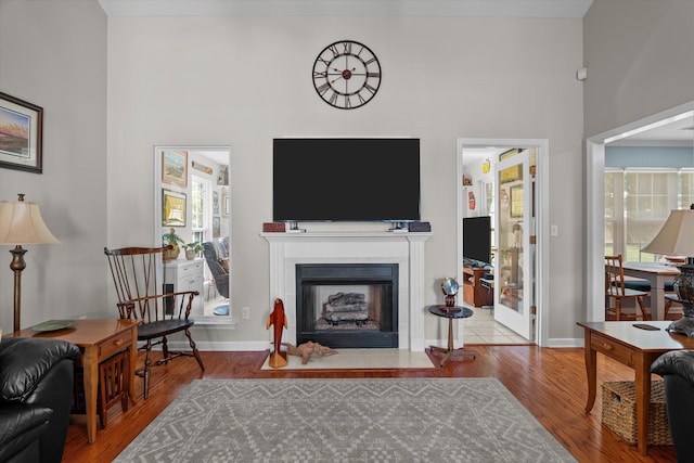 721 Spalding Ct, Martinez, GA 30907 - living area with a fireplace with flush hearth, healthy amount of natural light, wood finished floors, a high ceiling, and baseboards